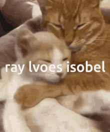 Isobel Ray GIF - Isobel Ray GIFs