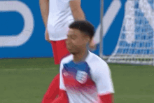 England World Cup GIF - England World Cup Bug Spray GIFs