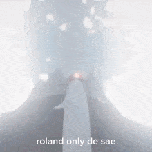 Roland Roland Flambeau GIF