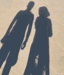 Shadow Couple GIF