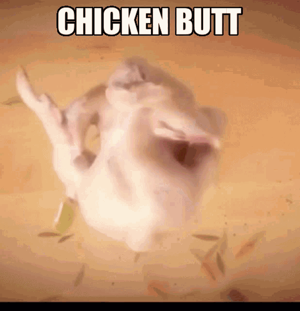 chicken-meme.gif