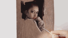 a person is painting a picture of a woman with the words made in animotica below it