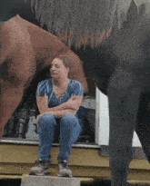a woman sitting on a block next to a horse with the word rode on the side