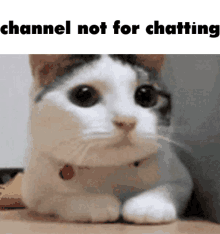 Channel Not GIF - Channel Not For GIFs