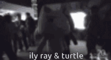 Ily Ray GIF - Ily Ray Turtle GIFs