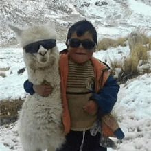 a boy holding a llama wearing sunglasses in the snow .