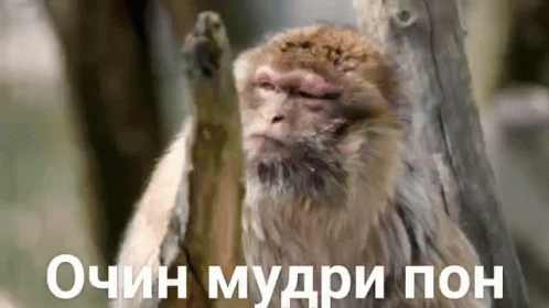 %D0%BE%D1%87%D0%B5%D0%BD%D1%8C-%D0%BC%D1%83%D0%B4%D1%80%D1%8B%D0%B9.gif