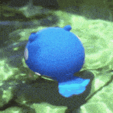 Spheal Spin GIF - Spheal Spin GIFs
