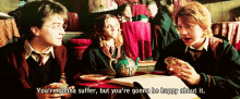 Harry Potter Happy GIF - Harry Potter Happy Youre Going To Suffer GIFs