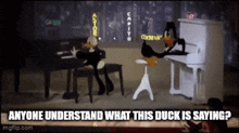 a cartoon of a duck playing a piano with the caption anyone understand what this duck is saying ?