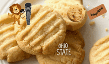 Biscuit Funny GIF - Biscuit Funny GIFs