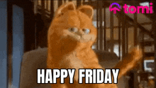 Tomi Happy Friday GIF - Tomi Happy Friday Cat GIFs