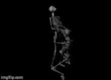 Skeleton Bj GIF - Skeleton Bj GIFs
