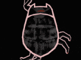 a drawing of a skull with the words " rude sigmas like you get passed for the gas of others " below it