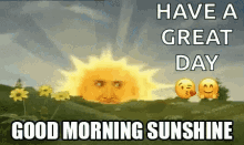 Good Morning Sunshine Have A Great Day GIF - Good Morning Sunshine Have A Great Day GIFs