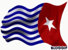 Papua Harga Mati Flag GIF - Papua Harga Mati Flag Waving Flag GIFs