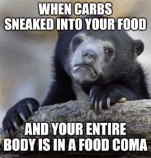 Food Coma Carb GIF