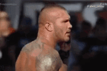 Randy Orton Hears GIF - Randy Orton Hears Voices GIFs