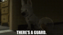 Bolt Movie Theres A Guard GIF - Bolt Movie Theres A Guard Guard GIFs