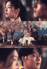 a man and a woman sit on a bench under a tree with flowers