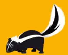animated skunk icon cute animal