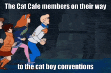 Cat Love Cat Cafe GIF - Cat Love Cat Cafe Cat Cafe Gifs GIFs