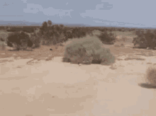 Hop On The Cycle Frontier GIF