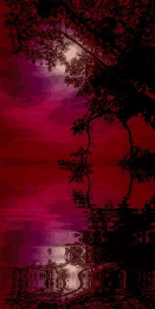Evening Water Reflection GIF - Evening Water Reflection GIFs