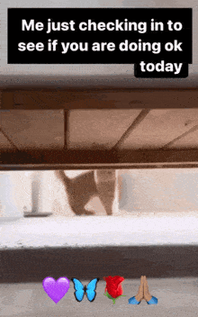 a cat is peeking out from under a table with a caption that says me just checking in to see if you are doing ok today