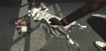 a person is playing a video game with a dog on the floor .