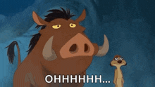 a cartoon of a warthog and a meerkat from the lion king .