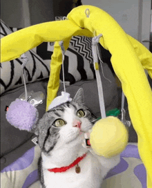 a cat wearing a collar with a tag that says ' a ' on it is playing with a toy