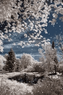 Winter Wonderland GIF - Winter Wonderland Snow GIFs