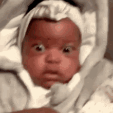 Baby Blink GIF - Baby Blink Wtf GIFs