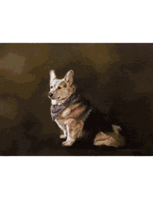 custom dog portrait custom animal portrait