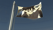 a flag with a picture of a girl with glasses on it