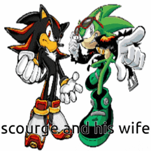 shadow the hedgehog and jet the hedgehog standing next to each other