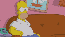 Homer Hruba Muka GIF - Homer Hruba Muka Cc GIFs