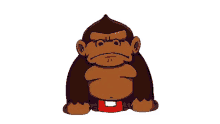 gorila mono