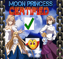 a poster for moon princess certified with anime characters