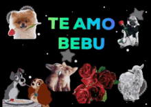 a black background with the words te amo bebu