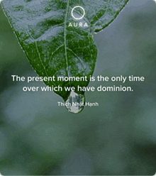 a picture of a leaf with a quote on it