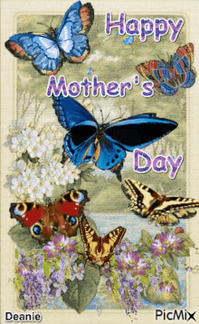 Happy Mothers Day Butterfly GIF