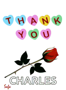 Thank You GIF - Thank You Rose GIFs
