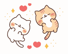 cute cat sparkle hearts love