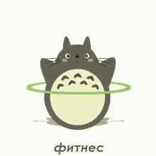 тоторо миядзаки гибли аниме фитнес обруч GIF - Totoro Ghibli Anime GIFs