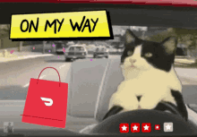 Omw Doordash Cat GIF