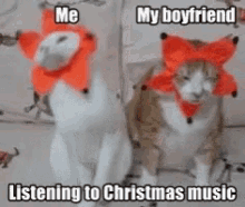 Christmas Cheer GIF - Christmas Cheer Kitty GIFs