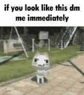 a picture of a cat with the words if you look like this dm me immediately above it