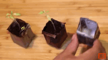 Diy Biodegradable Seed-starter Pots GIF
